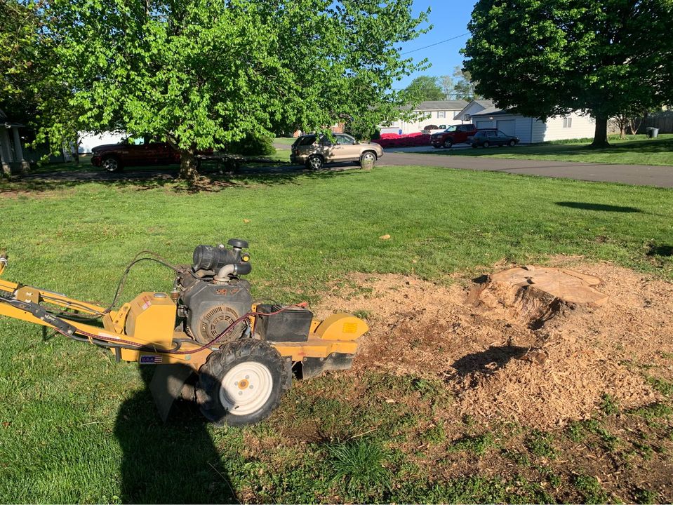 Tree Service Cedar Rapids IA Stump Grinding